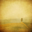 vintage tuscan landscape