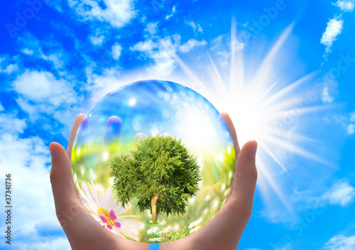 Photo: Nature Natur Nature Natur