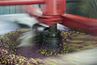 The millstone for grinding