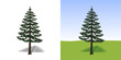 Plante europe