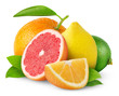 Citrus fruits isolated on white