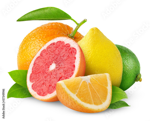 Photo: Citrus fruits isolated on white Citrus fruits isolated on white