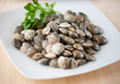 clams