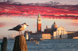 Venice Venice
