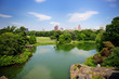 Photo: A pond in New York City Central Park in summer A pond in New York City Central Park in summer