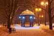Decorated winter city park at night