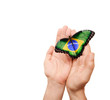 Brazil flag butterfly