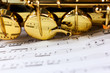 Sax Soprano