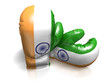 BOXING GLOVES INDIA