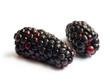 Black Berries on white