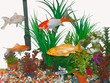 Gold Fish Tank