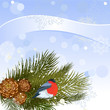 Bird on a branch from a pine cone Bird on a branch from a pine cone