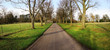 country lane