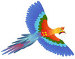 Vector: screaming afraid blue parrot flies on white screaming afraid blue parrot flies on white