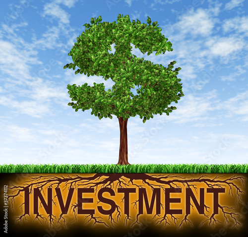 Illustration: Investment and financial growth Investment and financial growth