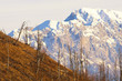 montagna