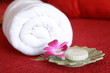 Towel& orchid