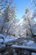 river stream in winter river stream in winter