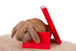 Foto: Geschenk Geschenk