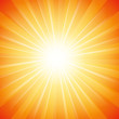 *VectorSun11