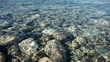 Sea ripples