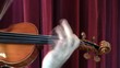 Violino, riccio e mano sinistra