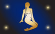 zodiac sign of the virgin