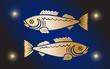 zodiac sign of the fish