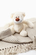 Plüschteddy