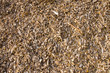 Background of wood shavings.Biomass fuels.