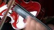 Violino, riccio e mano sinistra