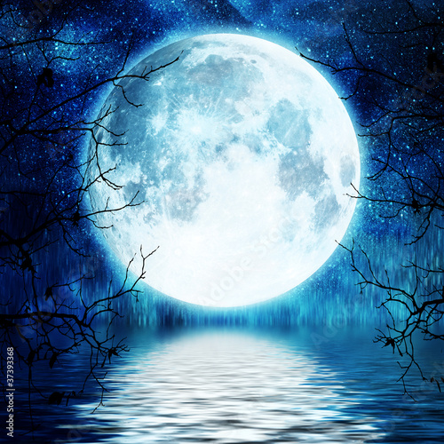 Illustration: tree branches against full moon tree branches against full moon