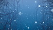 Trees and snow, HD, Loop.