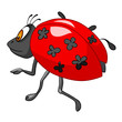Cartoon Character Ladybird