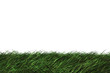 Illustration: 3D grass 3D grass
