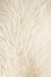 Furry white background
