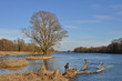 Donau in Bayern im Winter Donau in Bayern im Winter