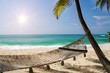 Foto: Under the palms Under the palms