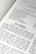 Bibel