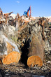 Environmental Destruction In Construction