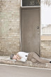 Great Depression Eviction