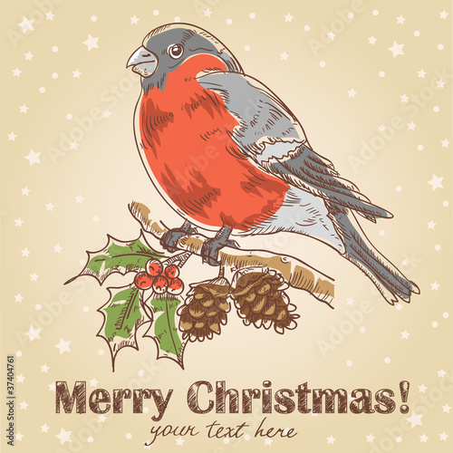 Vektor: Christmas hand drawn postcard with bullfinch Christmas hand drawn postcard with bullfinch