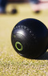 Lawn Bowls Ball Sitting On Bowling Green