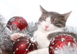Weihnachten