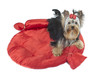 yorkshire terrier vu d'en haut dans son lit yorkshire terrier vu d'en haut dans son lit