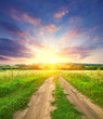 Summer landscape
