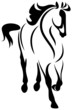running horse vector illustration