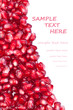 Pomegranate seeds. Copy space on right
