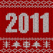 pulli strick 2011 I