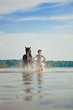 Woman on a horse by the sea